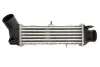 Впускний охолоджувач повітря THERMOTEC DAT002TT (фото 1)
