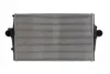 Впускний охолоджувач повітря THERMOTEC DAV002TT (фото 1)
