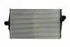 Впускний охолоджувач повітря THERMOTEC DAV003TT (фото 1)