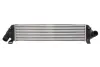 Впускний охолоджувач повітря THERMOTEC DAV004TT (фото 1)