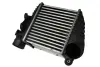 Впускний охолоджувач повітря THERMOTEC DAW001TT (фото 1)