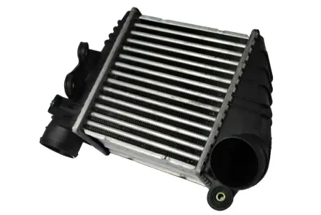 Впускний охолоджувач повітря THERMOTEC DAW001TT
