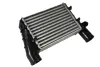 Впускний охолоджувач повітря THERMOTEC DAW002TT (фото 1)