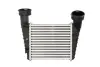 Впускний охолоджувач повітря THERMOTEC DAW003TT (фото 1)