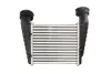 Впускний охолоджувач повітря THERMOTEC DAW003TT (фото 2)