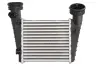 Впускний охолоджувач повітря THERMOTEC DAW004TT (фото 1)