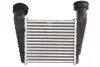Впускний охолоджувач повітря THERMOTEC DAW004TT (фото 2)