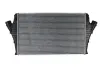 Впускний охолоджувач повітря THERMOTEC DAX002TT (фото 1)