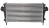 Впускний охолоджувач повітря THERMOTEC DAX004TT (фото 1)