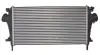 Впускний охолоджувач повітря THERMOTEC DAX004TT (фото 2)