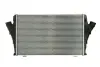 Впускний охолоджувач повітря THERMOTEC DAX011TT (фото 1)