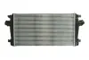 Впускний охолоджувач повітря THERMOTEC DAX013TT (фото 1)