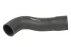 Шланг повітряного охолодження THERMOTEC DCB014TT (фото 1)
