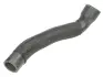 Шланг повітряного охолодження THERMOTEC DCC003TT (фото 1)