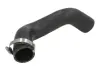 Шланг повітряного охолодження THERMOTEC DCG087TT (фото 1)