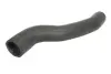 Шланг повітряного охолодження THERMOTEC DCG112TT (фото 1)
