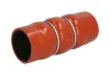 Шланг повітряного охолодження THERMOTEC DCP021TTS (фото 1)
