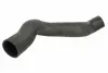 Шланг повітряного охолодження THERMOTEC DCV013TT (фото 1)