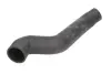 Шланг повітряного охолодження THERMOTEC DCV016TT (фото 1)