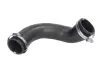 Шланг повітряного охолодження THERMOTEC DCV020TT (фото 1)