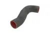 Шланг повітряного охолодження THERMOTEC DCV021TT (фото 1)