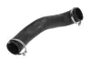 Шланг повітряного охолодження THERMOTEC DCV026TT (фото 1)