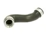 Шланг повітряного охолодження THERMOTEC DCW086TT (фото 1)