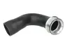 Шланг повітряного охолодження THERMOTEC DCW087TT (фото 1)