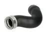 Шланг повітряного охолодження THERMOTEC DCW102TT (фото 1)