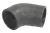 Шланг повітряного охолодження THERMOTEC DCW265TT (фото 1)