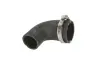 Шланг повітряного охолодження THERMOTEC DCX092TT (фото 1)