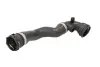 Гумовий шланг системи охолодження THERMOTEC DWB076TT (фото 1)