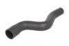 Гумовий шланг системи охолодження THERMOTEC DWC044TT (фото 1)
