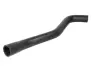 Гумовий шланг системи охолодження THERMOTEC DWF146TT (фото 1)
