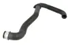 Гумовий шланг системи охолодження THERMOTEC DWP135TT (фото 1)