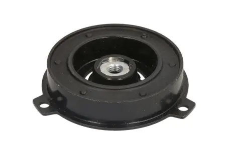 Компоненти зчеплення компресора кондиціонера THERMOTEC KTT020009