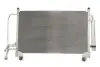 Радіатор кондиціонера THERMOTEC KTT110295 (фото 1)