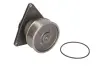 Насос охолоджуючої рідини WP-CM102 THERMOTEC WPCM102 (фото 4)