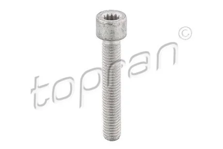 Болт Кріплення ШРУСа TOPRAN TOPRAN / HANS PRIES 104306
