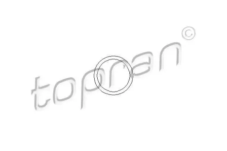 Прокладка трубопроводу системи охолодження TOPRAN TOPRAN / HANS PRIES 109639