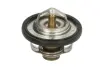 Термостат TMT-301 TOURMAX TMT301 (фото 1)