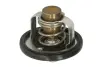 Термостат TMT-301 TOURMAX TMT301 (фото 2)