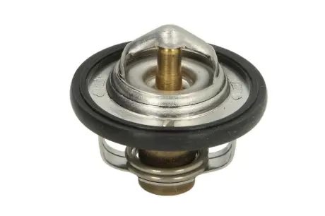 Термостат TMT-301 TOURMAX TMT301