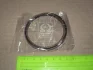 Кольца поршневые +0.50mm (1 цил.)(1.2*1.2*2.5) Matiz 4EA, F8CV TP 41008050 (фото 1)