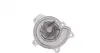 Помпа води MB Vaneo 1.6/1.7 CDI/1.9 02-05 AUTOMOTIVE TRUCKTEC 02.19.201 (фото 4)