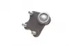 Опора кульова (передня/знизу/L) Audi A1 10-/Seat Ibiza 02-15/Skoda Fabia 99-14/Rapid 12-/VW Polo 01 AUTOMOTIVE TRUCKTEC 07.31.230 (фото 5)