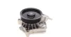 Помпа води BMW 3 (E90/E91/E92) 06-13/X3 (E83) 04-10 AUTOMOTIVE TRUCKTEC 08.19.236 (фото 6)