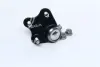 Кульова опора AUDI/SEAT/SKODA/VW A1/Ibiza/Fabia/Polo &quot;FR &quot;00&gt;&gt; =&quot;&quot; TRW JBJ815 (фото 3)