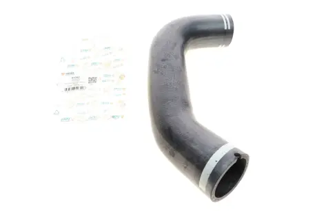 Патрубок інтеркулера Citroen Jumper II/Peugeot Boxer 2.2 HDi 06- UCEL UC-EL 51342