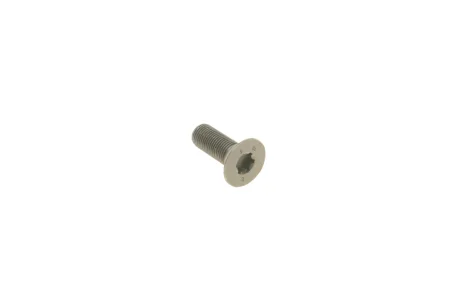 Болт (M12x1.25x33mm) VAG 06D109281D